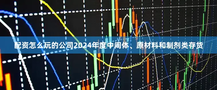配资怎么玩的公司2024年度中间体、原材料和制剂类存货