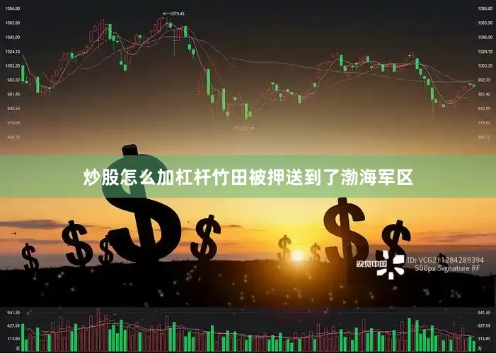 炒股怎么加杠杆竹田被押送到了渤海军区