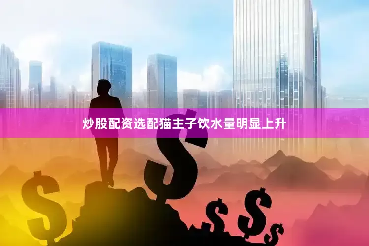 炒股配资选配猫主子饮水量明显上升