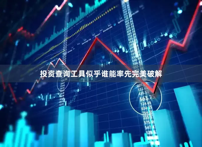 投资查询工具似乎谁能率先完美破解