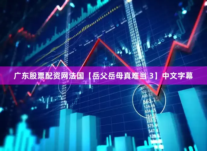 广东股票配资网法国【岳父岳母真难当 3】中文字幕